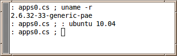 Ubuntu 10.04 xterm